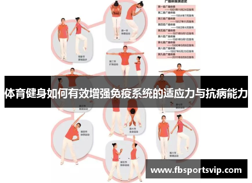 体育健身如何有效增强免疫系统的适应力与抗病能力